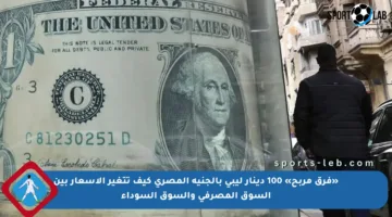 «فرق مربح» 100 دينار ليبي بالجنيه المصري كيف تتغير الأسعار بين السوق المصرفي والسوق السوداء